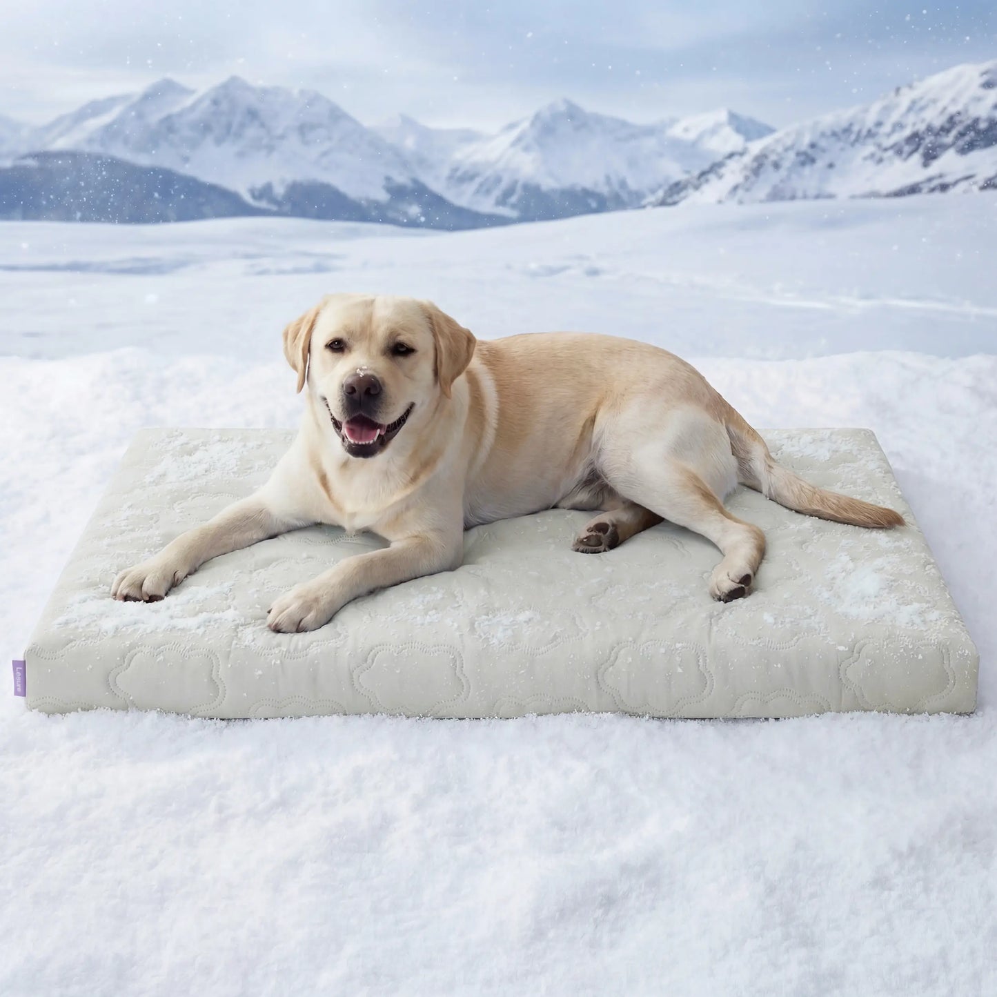 Bedsure Washable Cooling Mat for Dogs - Q-MAX>0.4 Non-Slip Summer Crate Bed for Large Dogs, No Gel or Electricity Required